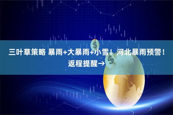 三叶草策略 暴雨+大暴雨+小雪！河北暴雨预警！返程提醒→
