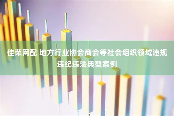 佳荣网配 地方行业协会商会等社会组织领域违规违纪违法典型案例